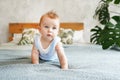 Adorable baby boy in white sunny bedroom with green plant monstera. Newborn child relaxing in bed. Textile and bedding for kids.