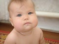 Adorable Baby child with chubby cheeks looking Royalty Free Stock Photo