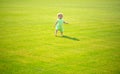 Adorable baby crawling on green grass outdoors. Royalty Free Stock Photo
