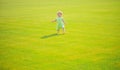 Adorable baby crawling on green grass outdoors. Royalty Free Stock Photo