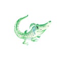 Adorable baby crocodile isolated on white background. Watercolor hand drawn illustration. Royalty Free Stock Photo