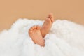 Adorable baby feet wrapped in a white blanket, maternity and babyhood concept Royalty Free Stock Photo