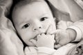 Adorable baby with fingers in his mouth Royalty Free Stock Photo