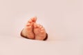 Adorable baby girl feet on a pastel pink background, closeup of infant toes