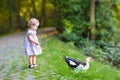 Adorable baby girl in festive dress with wild duck Royalty Free Stock Photo