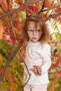 Adorable baby girl playing in a sunny park under a tree with yellow leaves, hiding behind tree Royalty Free Stock Photo