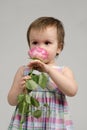 Adorable baby girl smelling pink rose