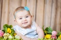 Adorable baby girl with tulips Royalty Free Stock Photo