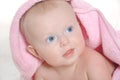 Adorable baby girl under a pink towel Royalty Free Stock Photo