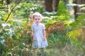 Adorable baby girl in white dress playing in sunny park Royalty Free Stock Photo