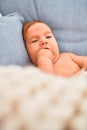 Adorable baby lying down over blanket on the sofa at home Royalty Free Stock Photo