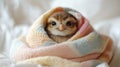 Adorable baby owl wrapped in multicolored blanket on soft white bed Royalty Free Stock Photo