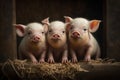 Adorable baby pigs in a trio. AI