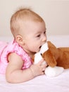 Adorable baby playing with puppy toy Royalty Free Stock Photo