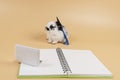 Adorable baby rabbit bunny black and white with diary book and laptop wearing graduation cap while sitting over isolated orange Royalty Free Stock Photo