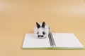 Adorable baby rabbit bunny with diary book sitting over isolated orange pastel background. Fluffy little bunny black white rabbit Royalty Free Stock Photo