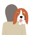 Adorable beagle dog nestle on its owner shoulder