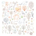 Vector set of outlined autumn forest trees, animals, birds and insects. Royalty Free Stock Photo