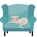 Adorable Beige Kitty Cat Royalty Free Stock Photo