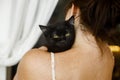 Adorable black kitten with yellow eyes on female shoulder in room. Woman hugging cute scared black cat, adoption concept. Kitty Royalty Free Stock Photo