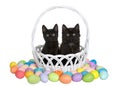 Black kittens in Easter basket surrounded by eggs Royalty Free Stock Photo