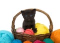 Black kitten in basket of yarn isolated Royalty Free Stock Photo