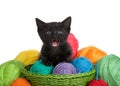 Black tabby kitten with blue eyes in a green woven basket full of yarn Royalty Free Stock Photo