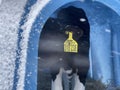 Cute calf in plastic shed. Adorable black and white calf standing on straw inside blue plastic shelter on cold winter