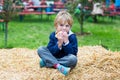 Adorable blond kid boy eating hot dog outdoors Royalty Free Stock Photo