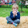 Adorable blond kid boy eating hot dog outdoors Royalty Free Stock Photo