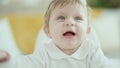 Adorable blonde baby smiling confident sitting on highchair at home Royalty Free Stock Photo