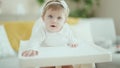 Adorable blonde baby smiling confident sitting on highchair at home Royalty Free Stock Photo