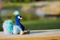 Adorable blue peacock sitting on a wooden table with blurred background