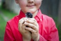 Adorable scene of a smiling boy holding a little baby chicken in his hands. Royalty Free Stock Photo