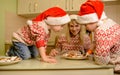 Adorable boys decorating gingerbread cookies with fun. Xmas holiday Royalty Free Stock Photo