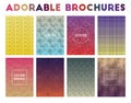 Adorable Brochures. Admirable geometric patterns.