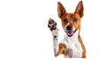 Adorable brown and white basenji dog smiling and giving a high five isolated on white. AI Generative