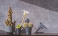 Adorable 3 cactus growing in plastic pots on wooden table with loft concrete wall