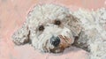 Adorable Canine Charm: White Labradoodle Portrait in Vibrant Painting