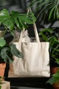 Adorable Cat in Canvas Tote Bag Surrounded by Lush Green Houseplants , Eco,Friendly, Indoor Gardening Decor