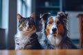 adorable cat and dog together in city apartments. animal friendship. generative AI Royalty Free Stock Photo