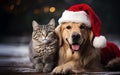 Adorable cat and dog wearing Santa hat together at room decorated for Christmas. Cute pets. Close-up. Selective focus. Generative Royalty Free Stock Photo