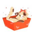 Adorable cat in gift box, kawaii fluffy kitten with cute eyes, ribbon bow on head, paws