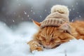 Adorable Cat With Ginger Fur And A Knitted Hat Lounges In Snowy Landscape, Symbolizing Pets As Family