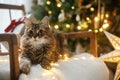 Adorable cat lying with stylish christmas gifts and golden lights on cozy armchair against decorated christmas tree. Merry