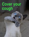 Staying Healthy - Cat Reminder - Cover your Cough