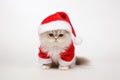 adorable cat in santa claus costume brings holiday cheer, Generative AI