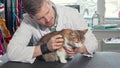 Adorable cat sitting on examination table at veterinarian office