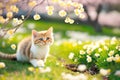 Fun, peaceful, adorable cat spring, generated ai