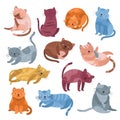 Adorable cats characters. Cute cat, funny isolated kitten lying playing or relaxation. Animal meow, cartoon fluffy pets